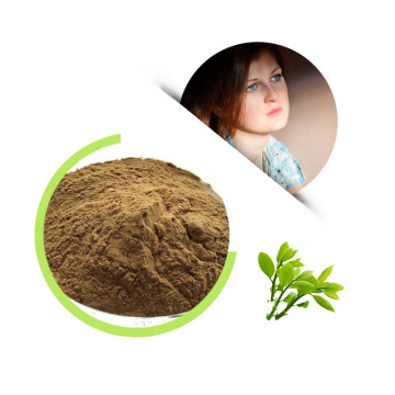 100% Natural Healthy Organic Green Tea Extract Natural L Theanine Powder